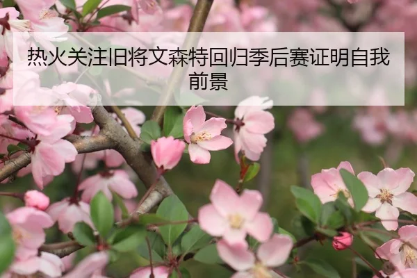 热火关注旧将文森特回归季后赛证明自我前景